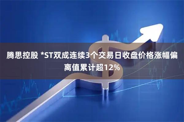 腾思控股 *ST双成连续3个交易日收盘价格涨幅偏离值累计超12%