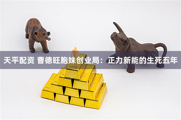 天平配资 曹德旺胞妹创业局：正力新能的生死五年