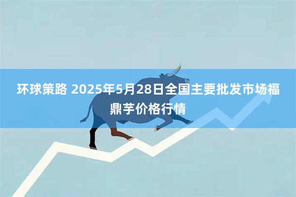 环球策路 2025年5月28日全国主要批发市场福鼎芋价格行情