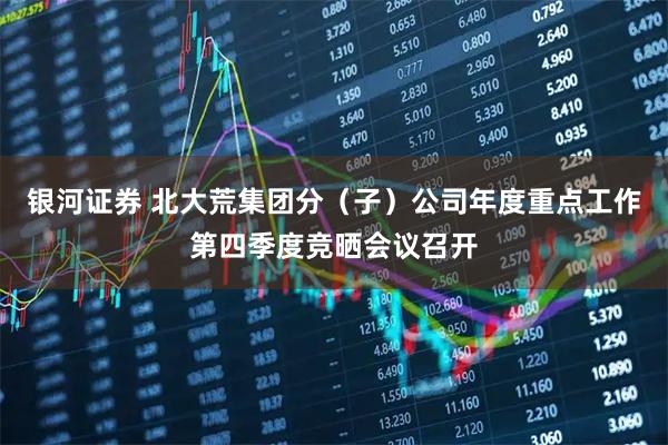 银河证券 北大荒集团分(子)公司年度重点工作第四季度竞晒会议召开