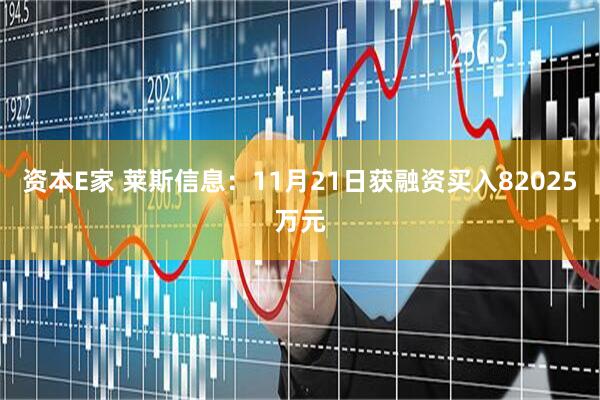 资本E家 莱斯信息:11月21日获融资买入82025万元